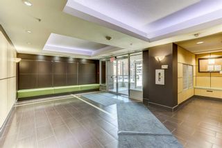 Photo 20: 108 788 12 Avenue SW in Calgary: Beltline Apartment for sale : MLS®# A2128090
