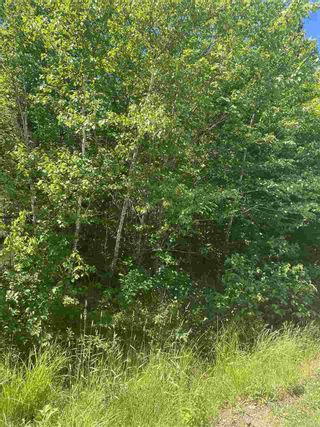 Photo 4: Lot 1 North River Road in Aylesford Lake: 404-Kings County Vacant Land for sale (Annapolis Valley)  : MLS®# 202011590