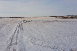 Photo 3: SE 34-45-19-W4: Rural Camrose County Residential Land for sale : MLS®# A2013938