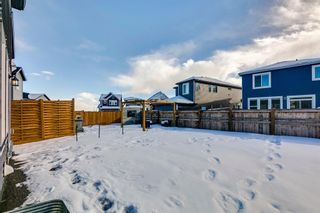 Photo 31: 178 Creekstone Way SW in Calgary: C-168 Detached for sale : MLS®# A2025025