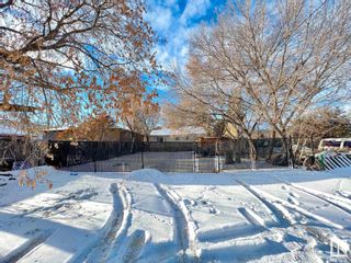 Photo 10: 11819 83 Street in Edmonton: Zone 05 Vacant Lot/Land for sale : MLS®# E4320734