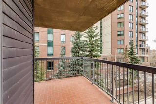 Photo 18: 405 225 25 Avenue SW in Calgary: Mission Apartment for sale : MLS®# A2125995