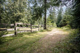 Photo 56: 4170 Gordon Rd in Campbell River: CR Campbell River Central House for sale : MLS®# 912212