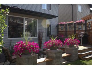 Photo 18: 259 CHAPALINA Terrace SE in Calgary: Chaparral Residential Detached Single Family for sale : MLS®# C3648865