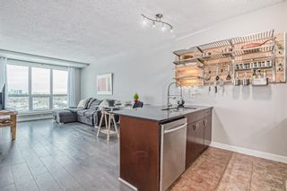 Photo 16: 1313 8710 Horton Road SW in Calgary: Haysboro Apartment for sale : MLS®# A2014731