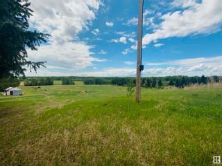 Photo 42: 10 455062 RGE RD 254: Rural Wetaskiwin County House for sale : MLS®# E4342047