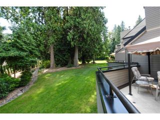 Photo 20: 3771 NICO WYND Drive in Surrey: Elgin Chantrell Home for sale ()  : MLS®# F1419246