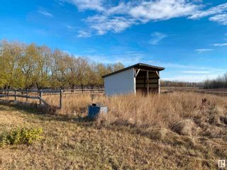 Photo 42: 4207 TWP RD 494: Rural Leduc County House for sale : MLS®# E4318673