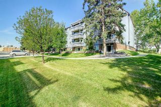 Photo 40: 327 820 89 Avenue SW in Calgary: Haysboro Apartment for sale : MLS®# A1170010