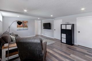 Photo 16: 79 Holly Street NW in Calgary: Highwood Detached for sale : MLS®# A2124962