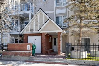 Photo 25: 302 42 6A Street NE in Calgary: Bridgeland/Riverside Apartment for sale : MLS®# A1192149