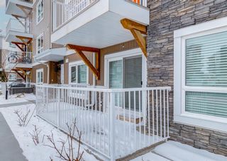 Photo 26: 1109 302 Skyview Ranch Drive NE in Calgary: Skyview Ranch Apartment for sale : MLS®# A2016450