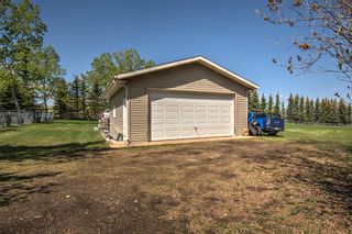 Photo 40: 42 Buffalo Rub Place: Airdrie Detached for sale : MLS®# A2048021