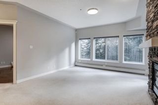 Photo 14: 234 10 Discovery Ridge Close SW in Calgary: Discovery Ridge Apartment for sale : MLS®# A1176936
