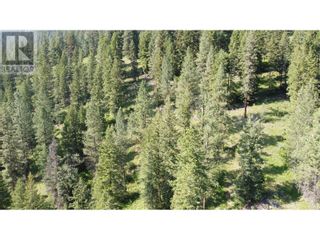 Photo 17: 40 Acres Shuswap River Drive in Lumby: Vacant Land for sale : MLS®# 10268876