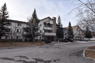 Photo 1: 3310 20 Harvest Rose Park NE in Calgary: Harvest Hills Apartment for sale : MLS®# A1175959