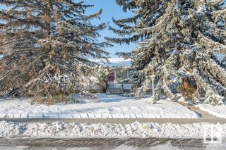 Photo 26: 8008 145 Street NW in Edmonton: Zone 10 House for sale : MLS®# E4320249