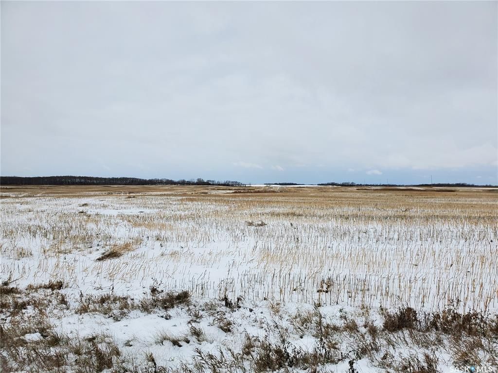 Main Photo: Grain Land - RM of Wallace #243 in Wallace: Farm for sale (Wallace Rm No. 243)  : MLS®# SK949846