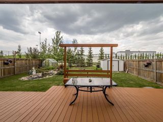 Photo 39: 1153 Brightoncrest Common SE in Calgary: New Brighton Detached for sale : MLS®# A1235524