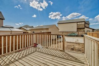 Photo 44: 80 Skyview Point Crescent NE in Calgary: Skyview Ranch Detached for sale : MLS®# A2041402