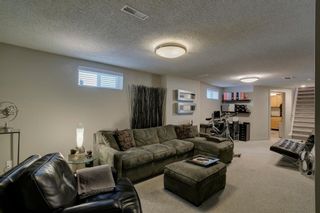 Photo 31: 16 Harley Road SW in Calgary: Haysboro Detached for sale : MLS®# A1092944