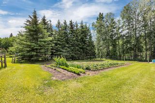 Photo 33: 361052 Rang Road 5-1: Caroline Agriculture for sale : MLS®# A2119710
