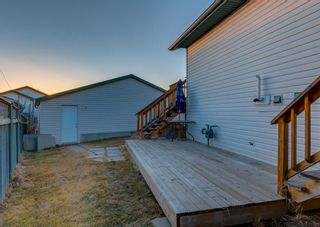 Photo 30: 203 APPLEBROOK Circle SE in Calgary: Applewood Park Detached for sale : MLS®# A1198432