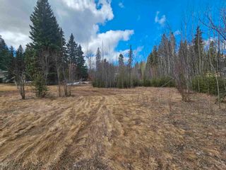 Photo 5: 9733 WALTER Road in Prince George: Haldi Land for sale (PG City South West)  : MLS®# R2871788