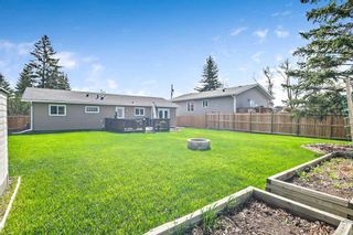Photo 3: 77 2 Street SE: High River Detached for sale : MLS®# A2118300