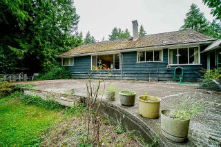 Photo 14: 12136 NEW MCLELLAN Road in Surrey: Panorama Ridge House for sale : MLS®# R2595640