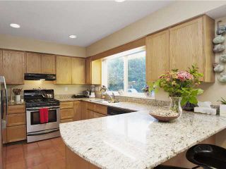 Photo 7: 5533 NANCY GREENE Way in North Vancouver: Grouse Woods House for sale : MLS®# V1033495
