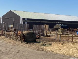 Photo 32: Prairie Lane Equestrian Centre in Vanscoy: Residential for sale (Vanscoy Rm No. 345)  : MLS®# SK941877