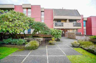 Photo 23: 207 1040 FOURTH Avenue in New Westminster: Uptown NW Condo for sale in "HILLSIDE TERRACE" : MLS®# R2533636