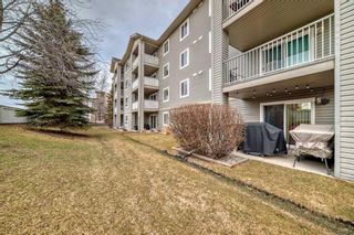 Photo 33: 5105 604 8 Street SW: Airdrie Apartment for sale : MLS®# A2121863