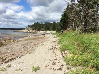 Photo 4: 00 Highway316 in New Harbour: 303-Guysborough County Vacant Land for sale (Highland Region)  : MLS®# 202119405