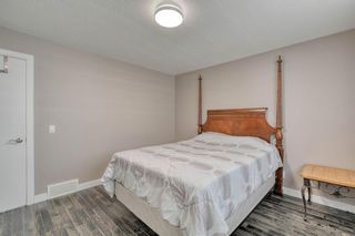 Photo 26: 79 Rundlefield Close NE in Calgary: Rundle Detached for sale : MLS®# A1040501