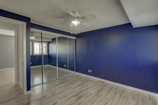 Photo 15: 3024 32A Avenue SE in Calgary: Dover Detached for sale : MLS®# A2001013