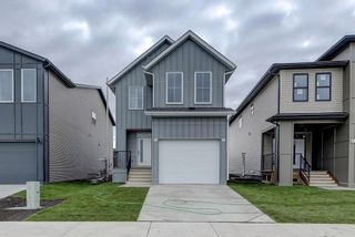 Photo 1: 221 Copperleaf Way SE in Calgary: Copperfield Detached for sale : MLS®# A1040275