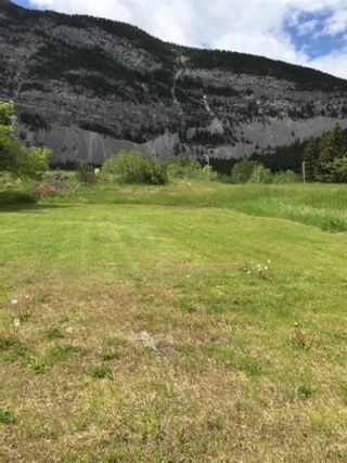 Photo 1: 14902 21 Avenue: Crowsnest Pass Residential Land for sale : MLS®# A1134722