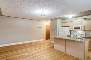 Photo 11: 19 330 19 Avenue SW in Calgary: Mission Apartment for sale : MLS®# A1165932