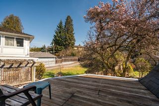 Photo 32: 4470 MAPLE Crescent in Vancouver: Shaughnessy House for sale (Vancouver West)  : MLS®# R2867648