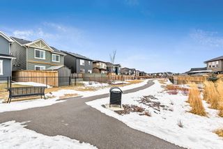 Photo 40: 1540 Ravensmoor Way SE: Airdrie Detached for sale : MLS®# A1177123