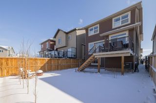 Photo 44: 17 Thoroughbred Boulevard: Cochrane Detached for sale : MLS®# A1208503