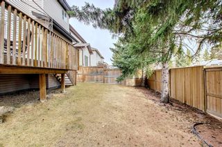 Photo 47: 336D Silvergrove Place NW in Calgary: Silver Springs Detached for sale : MLS®# A1199863