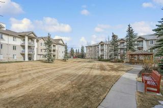 Photo 1: 3134 6818 Pinecliff Grove NE in Calgary: Pineridge Apartment for sale : MLS®# A2117871