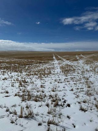 Photo 26: Panorama Road in Rural Rocky View County: Rural Rocky View MD Commercial Land for sale : MLS®# A2117580