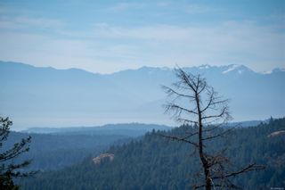 Photo 3: 2038 Pinehurst Terr in Langford: La Bear Mountain Land for sale : MLS®# 886242
