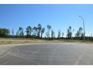 Photo 7: LOT 14 BELL Place in Mackenzie: Mackenzie -Town Land for sale in "BELL PLACE" : MLS®# N227307