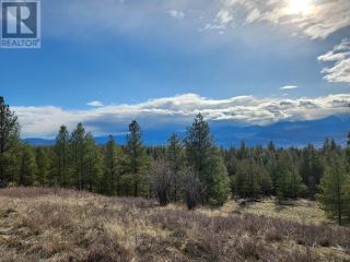 Photo 1: 1375 Bullmoose Way in Osoyoos: Vacant Land for sale : MLS®# 10310061