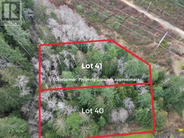Main Photo: Lot 41 TANNER AVE in Powell River: Vacant Land for sale : MLS®# 17065